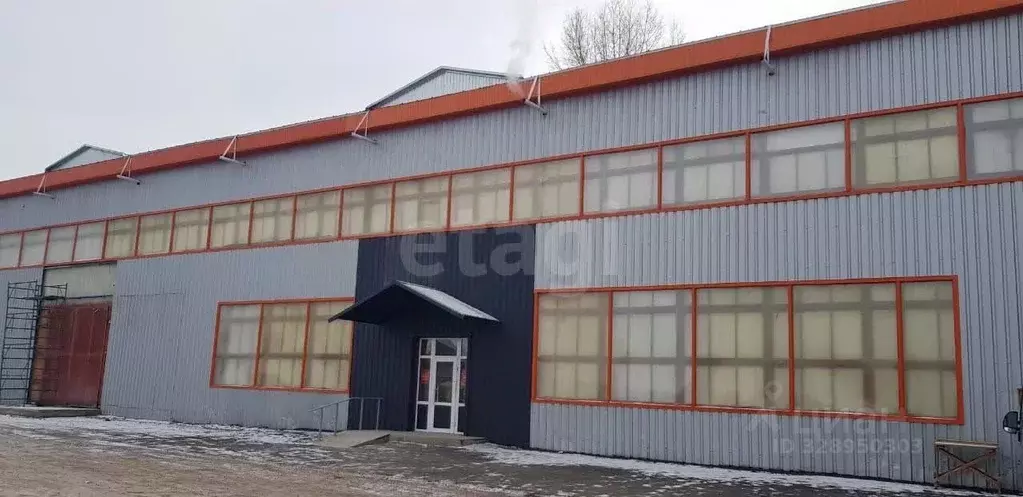 Торговая площадь в Башкортостан, Мелеуз Смоленская ул., 191 (2317 м) - Фото 2