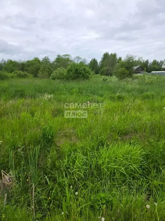 Участок в Вологодская область, Грязовецкий муниципальный округ, с. ... - Фото 1
