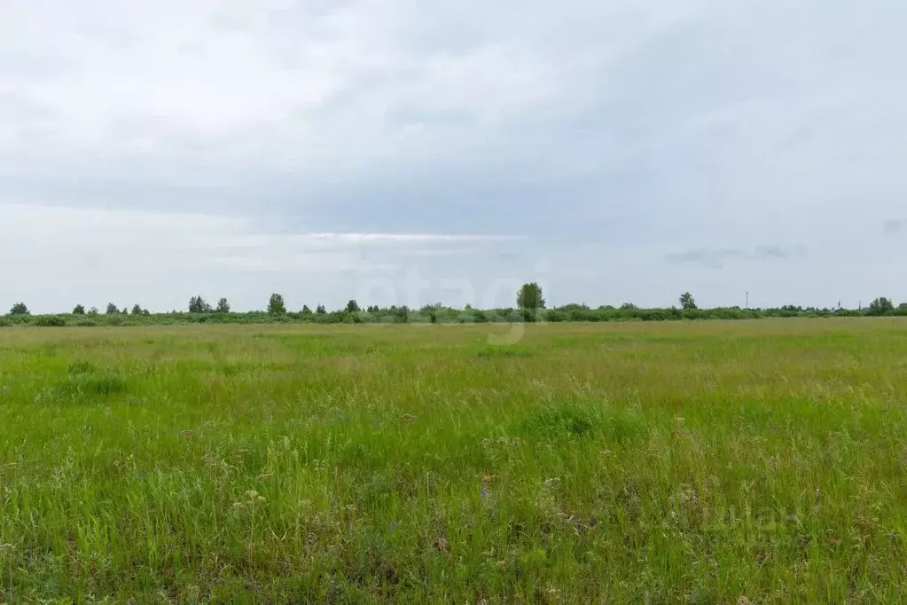 Участок в Тюменская область, Тюмень Ембаевское ТОО,  (81.6 сот.) - Фото 0