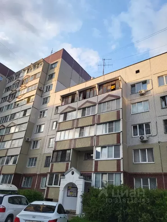 1-к кв. Псковская область, Псков ул. Рокоссовского, 36 (36.5 м) - Фото 0