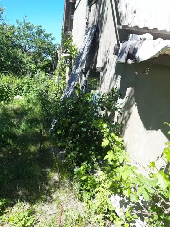 Дом в Волгоградская область, Волгоград Мирный СНТ, 54 (40 м) - Фото 2