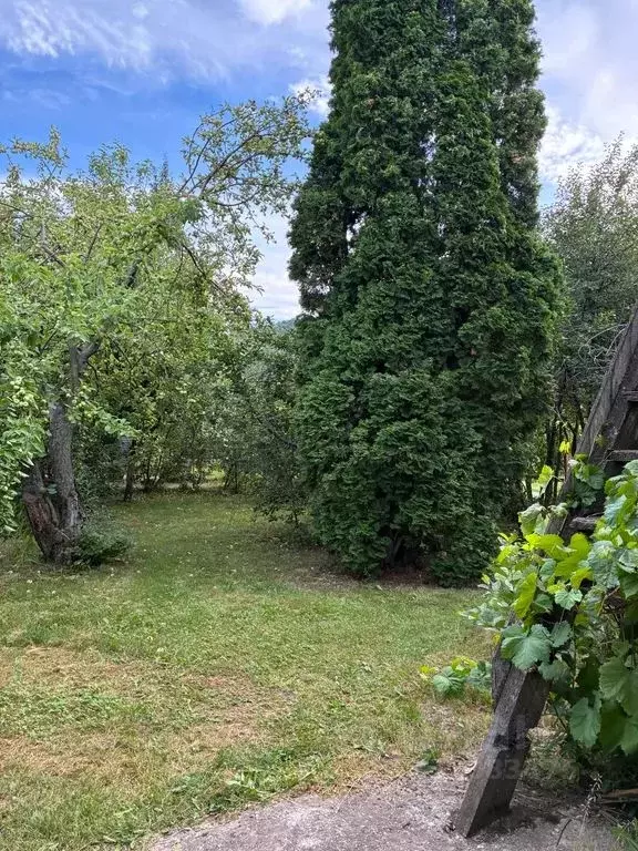 Дом в Самарская область, Жигулевск городской округ, с. Ширяево ул. ... - Фото 2