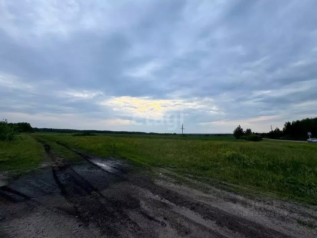 Участок в Свердловская область, Тугулымский муниципальный округ, с. Яр ... - Фото 1