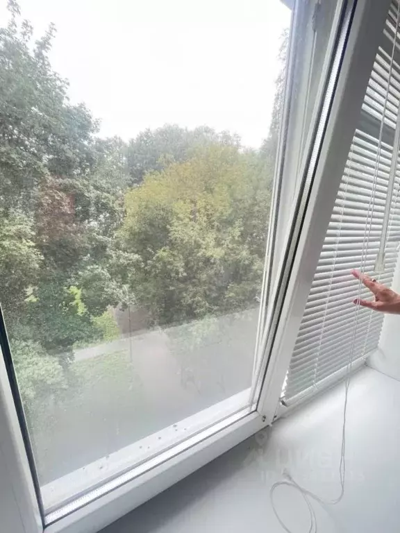 Студия Татарстан, Нижнекамск просп. Строителей, 8Б (19.0 м) - Фото 2