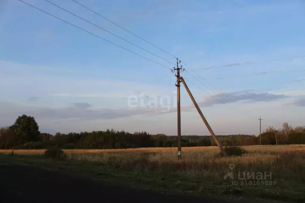 Участок в Псковская область, Пушкиногорский район, Пушкиногорье ... - Фото 1