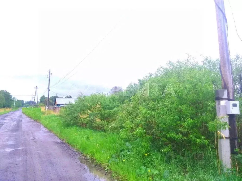 Участок в Тюменская область, Нижнетавдинский район, д. Красный Яр, ... - Фото 0