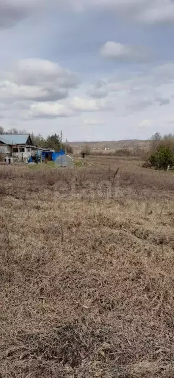 Участок в Амурская область, Благовещенский район, с. Новотроицкое ... - Фото 1