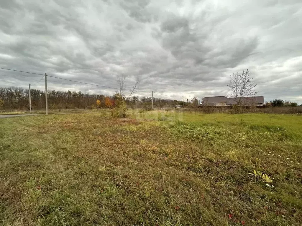 Участок в Белгородская область, Прохоровский район, Призначенское ... - Фото 2
