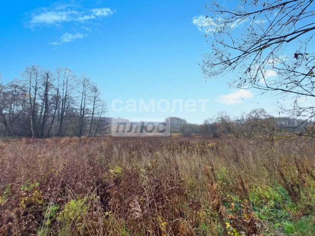 Участок в Московская область, Чехов муниципальный округ, д. Климовка  ... - Фото 1