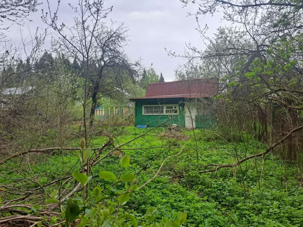Участок в Московская область, Солнечногорск городской округ, Сад ... - Фото 1