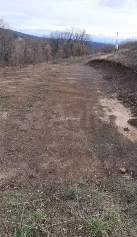 Участок в Крым, Алушта городской округ, с. Изобильное пер. Кузнечный ... - Фото 0