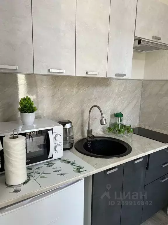 Студия Краснодарский край, Сочи ул. Ленина, 219А/1к1 (20.0 м) - Фото 0