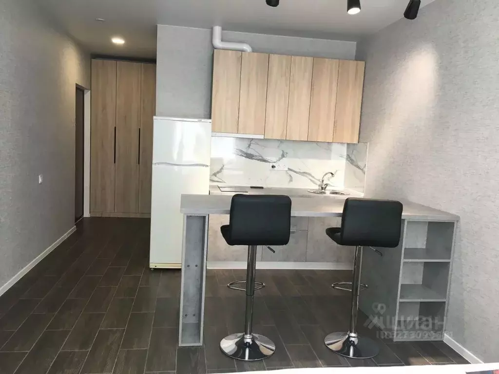 Студия Московская область, Домодедово городской округ, с. Домодедово ... - Фото 2