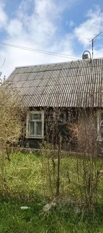 Дом в Псковская область, Печорский муниципальный округ, д. Новые ... - Фото 1