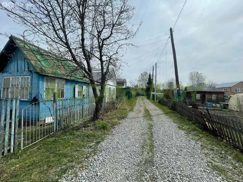 Дом в Новосибирск, садовое товарищество Звёздочка, Ореховая улица, 5 ... - Фото 1