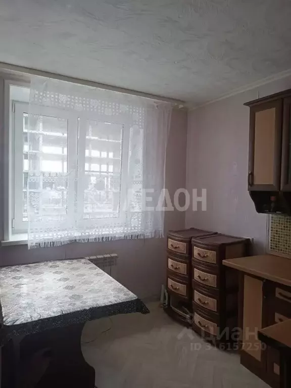 1-к кв. Омская область, Омск ул. Конева, 44 (34.8 м) - Фото 0