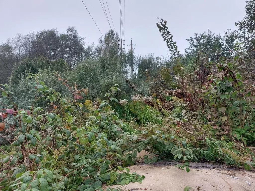 Участок в Ленинградская область, Приозерский район, пос. Сосново пер. ... - Фото 2