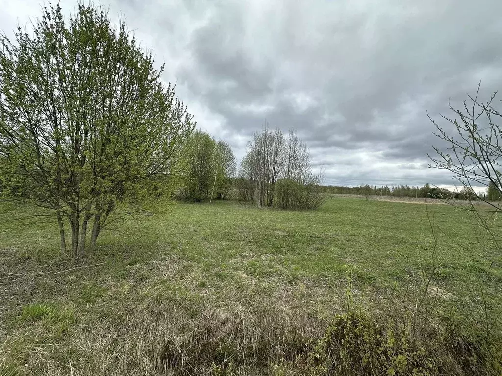 Участок в Московская область, Дмитровский муниципальный округ, ... - Фото 0