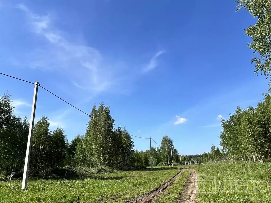 Участок в Рязанская область, Рязанский муниципальный округ, пос. ... - Фото 2