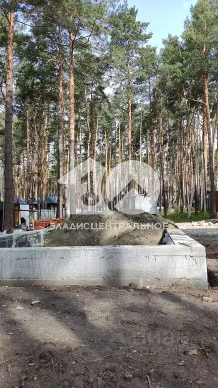 Участок в Новосибирская область, Новосибирский район, Кудряшовский дп  ... - Фото 1