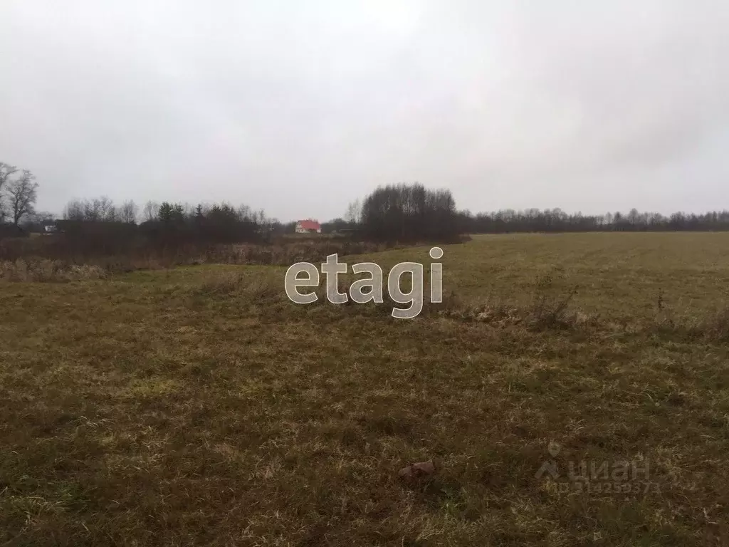 Участок в Архангельская область, Котласский муниципальный округ, д. ... - Фото 1