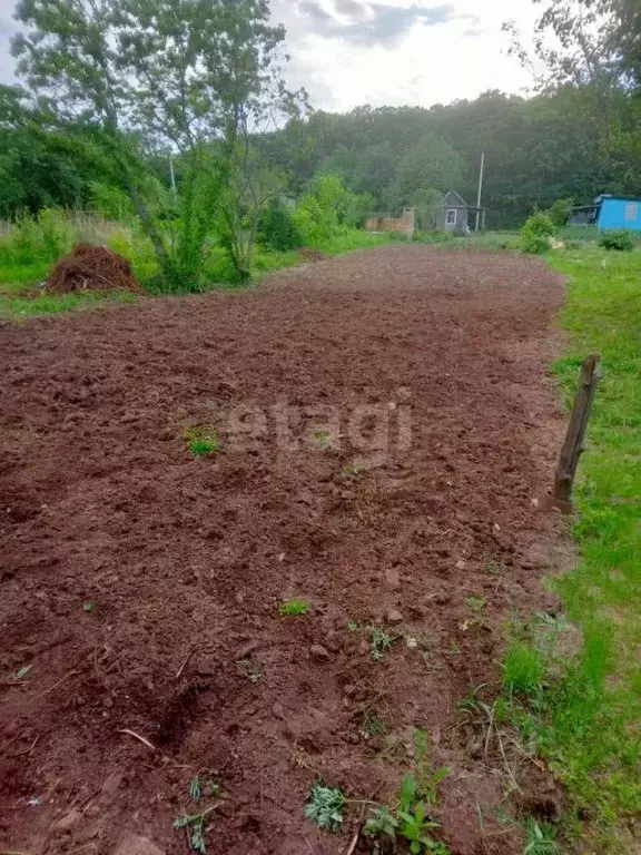 Участок в Амурская область, Благовещенск ЖБИ-12 СТ,  (7.5 сот.) - Фото 1