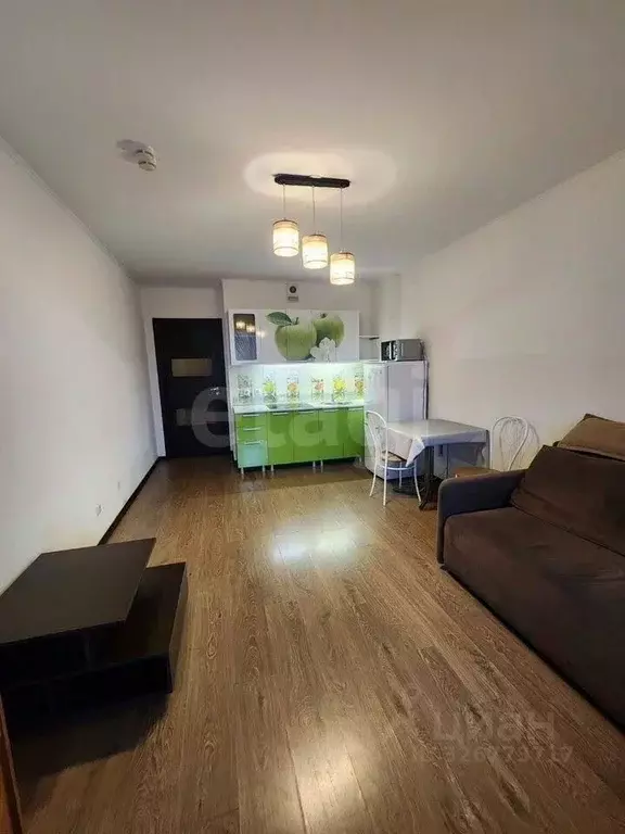 Студия Санкт-Петербург просп. Энергетиков, 9к6 (25.6 м) - Фото 2