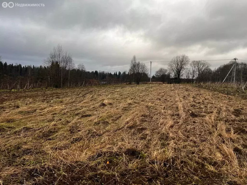 Участок в Волховский район, Хваловское сельское поселение, деревня ... - Фото 1