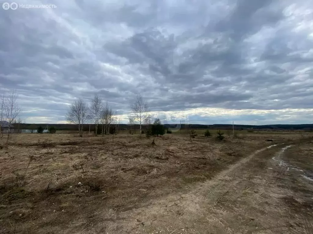 Участок в Владимирская область, муниципальный округ Доброград, село ... - Фото 1