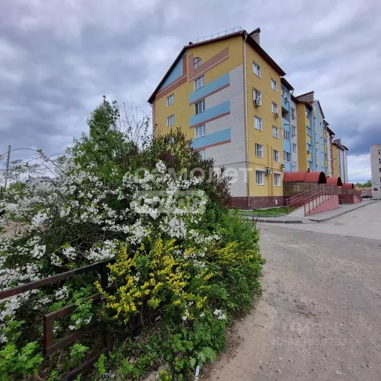 1-к кв. Нижегородская область, Бор пос. Октябрьский, ул. Победы, 24к2 ... - Фото 2