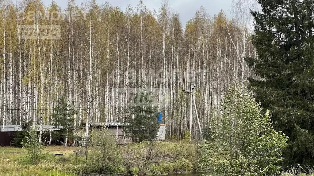 Участок в Владимирская область, Судогодский район, Головинское ... - Фото 1