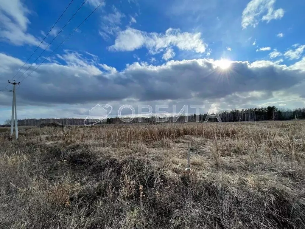 Участок в Тюменская область, Тюменский район, с. Каменка  (12.0 сот.) - Фото 1