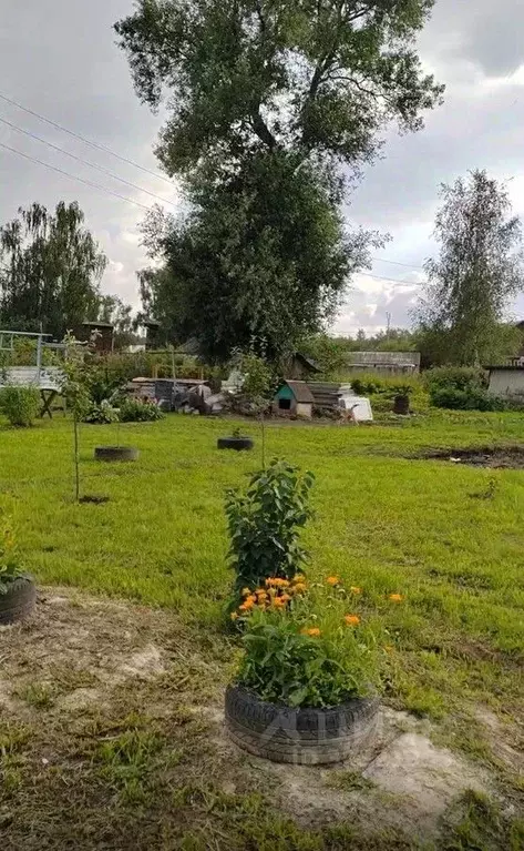 Участок в Московская область, Чехов муниципальный округ, с. Пешково  ... - Фото 1