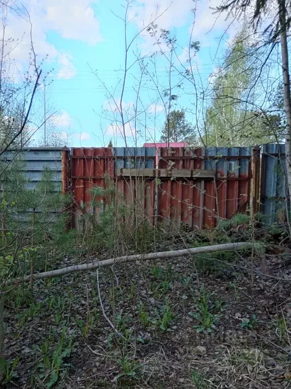 Участок в Ленинградская область, Тосненский район, Трубникоборское ... - Фото 2