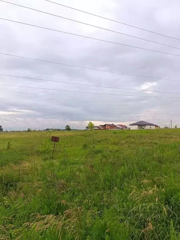 Участок в Курская область, Курский район, Моковский сельсовет, д. 2-я ... - Фото 2