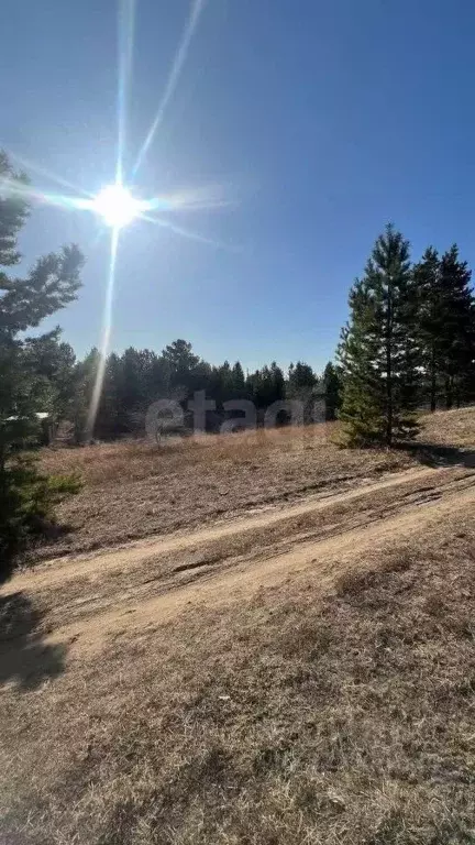 Участок в Бурятия, Тарбагатайский район, Саянтуйское с/пос, с. Нижний ... - Фото 2