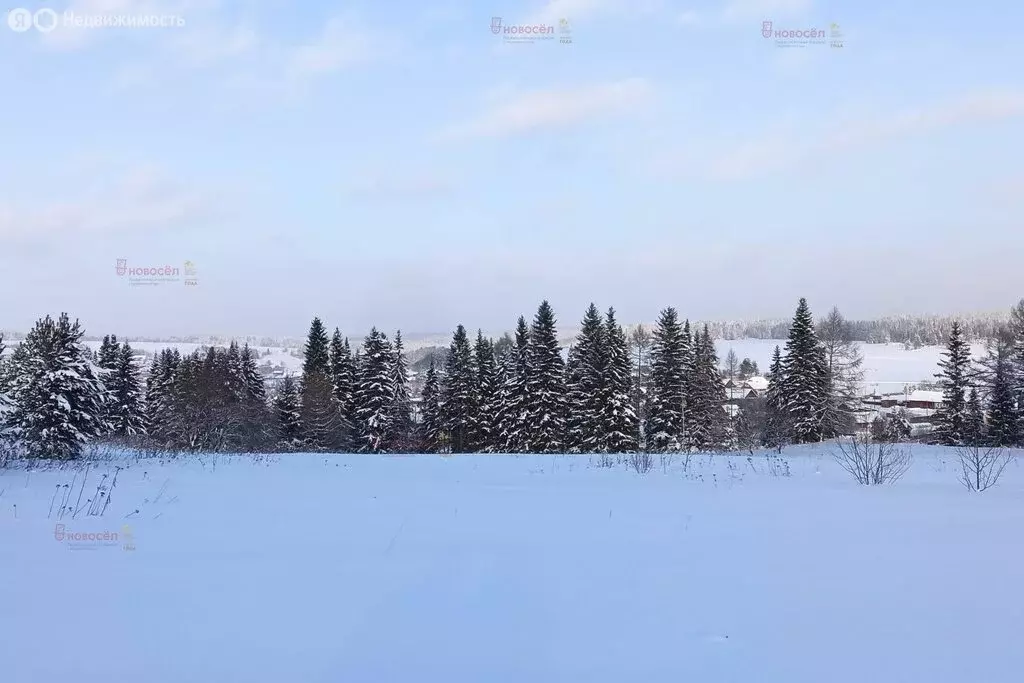 Участок в Свердловская область, Шалинский муниципальный округ, село ... - Фото 2