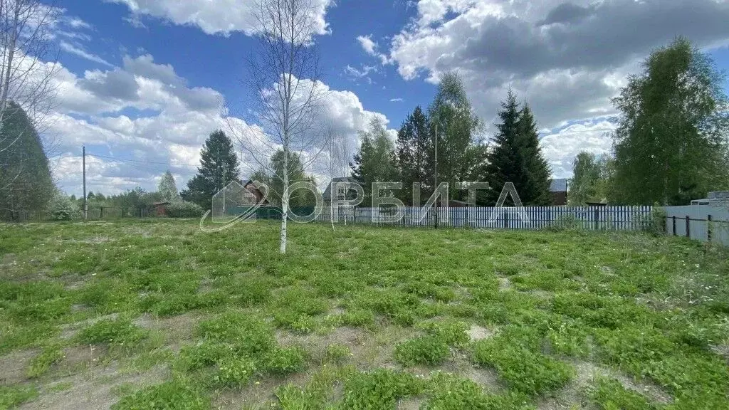 Участок в Тюменская область, Нижнетавдинский район, Геолог-2 СНТ 1-я ... - Фото 2