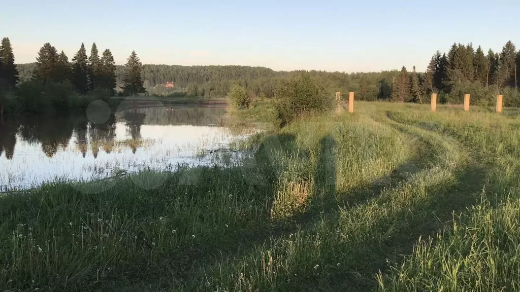 Участок 15 сот. (СНТ, ДНП) - Фото 1