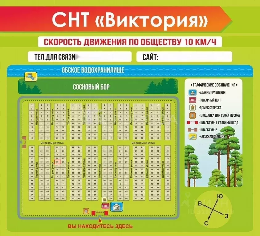 Участок в Новосибирская область, Ордынское рп, Виктория СНТ ул. ... - Фото 1