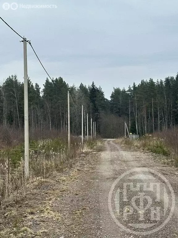Участок в Ломоносовский район, Лебяженское городское поселение, ... - Фото 1