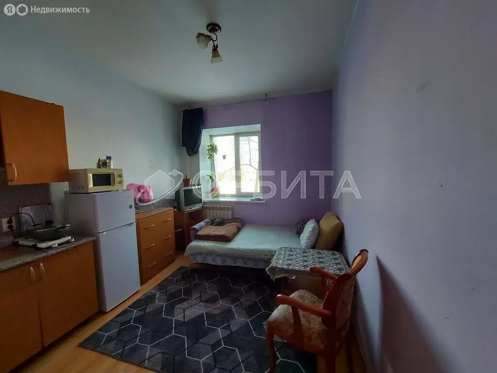 Квартира-студия: Тюмень, улица Бабарынка, 65 (16.2 м) - Фото 1