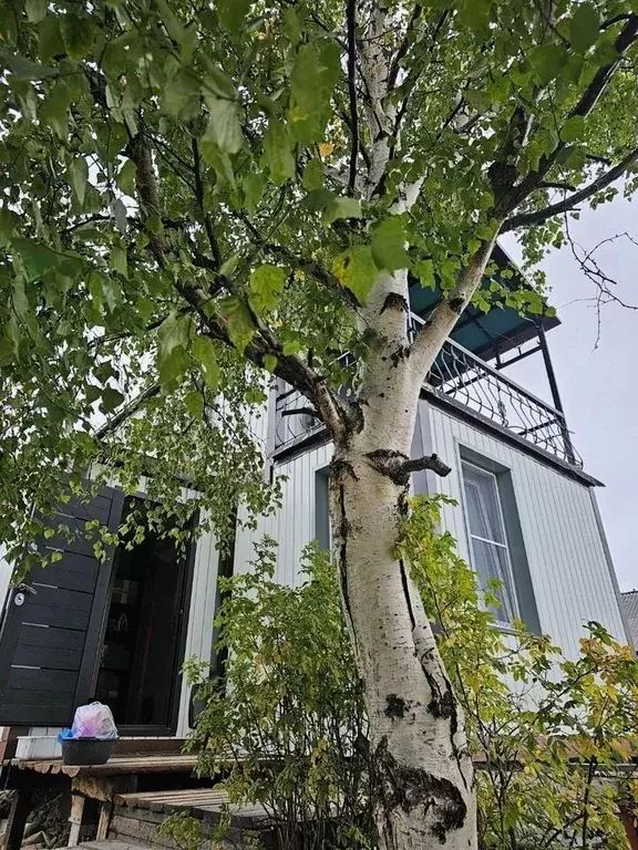 Дом в Магаданская область, Магадан 13 километр мкр,  (60 м) - Фото 2