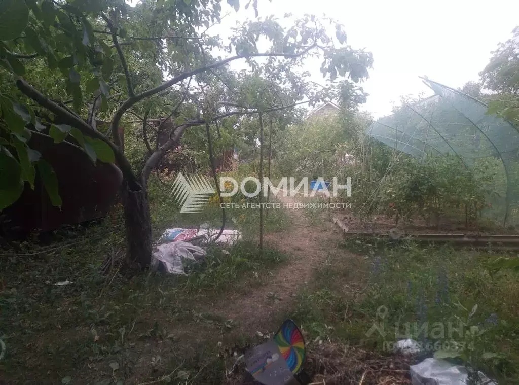 Участок в Ростовская область, Новочеркасск № 1 РосНИИПМ садовое ... - Фото 2