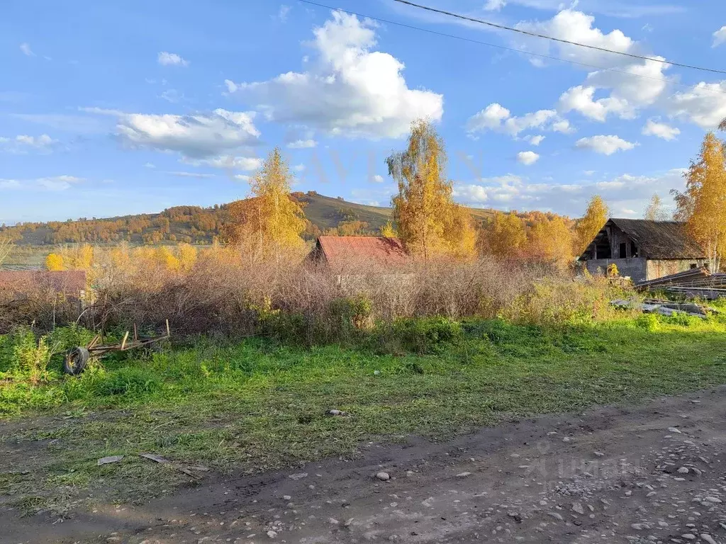 Участок в Алтай, Майминский район, пос. Карлушка ул. Валентины ... - Фото 1