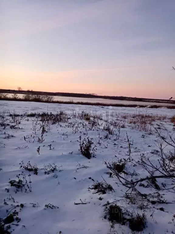 Участок в Тюменская область, с. Омутинское  (900.0 сот.) - Фото 1