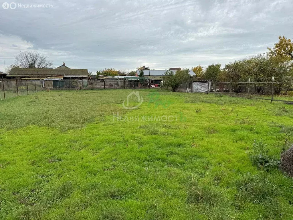 Участок в Камышеватская, Красноармейская улица (12.54 м) - Фото 1