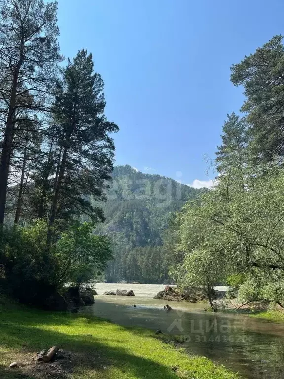 Участок в Алтай, Чемальский район, с. Чепош ул. Кучияк (10.4 сот.) - Фото 1