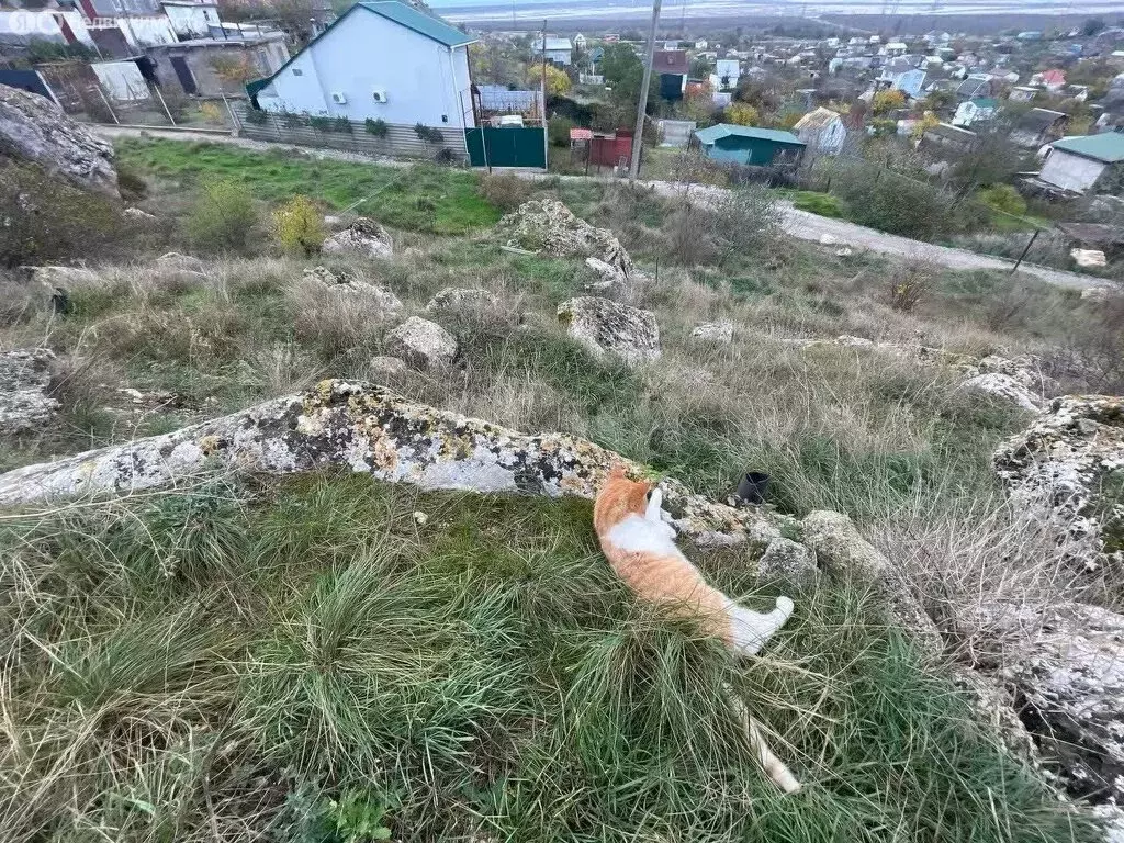 Участок в Ленинский район, городское поселение Щёлкино, ТСН ... - Фото 2