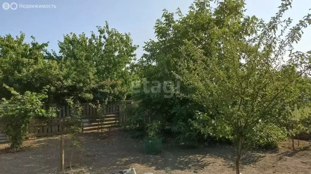 Участок в Староминский район, Рассветовское сельское поселение, ... - Фото 2